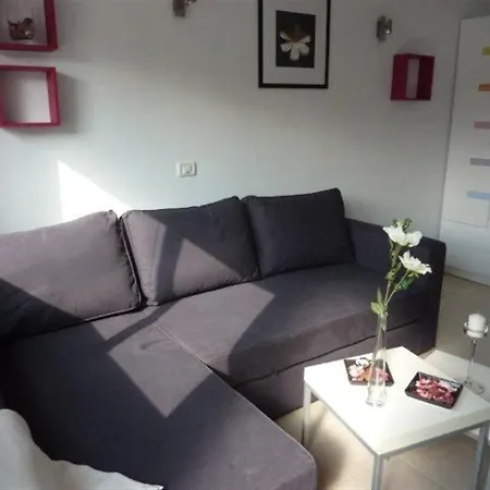 Studio Lista * Arico el Nuevo